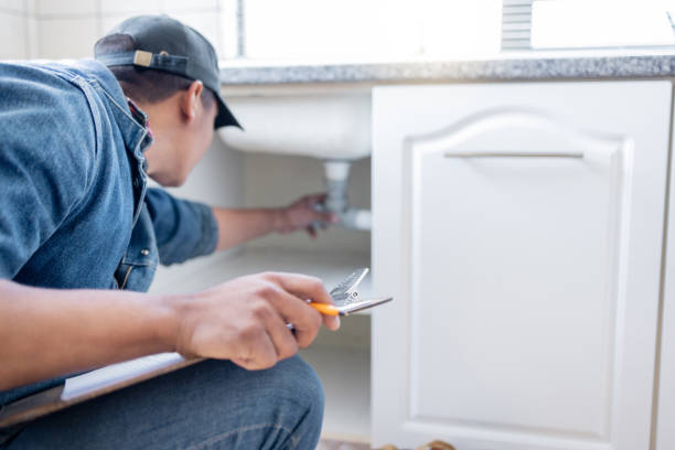 Best Plumbing Services Near Me  in Lindenhurst, IL