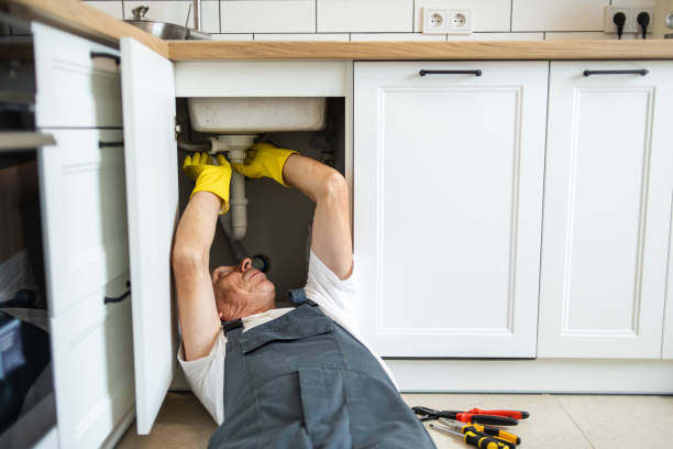 Best Same-Day Plumbing Service  in Lindenhurst, IL